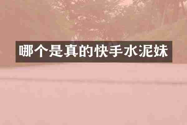 哪个是真的快手水泥妹