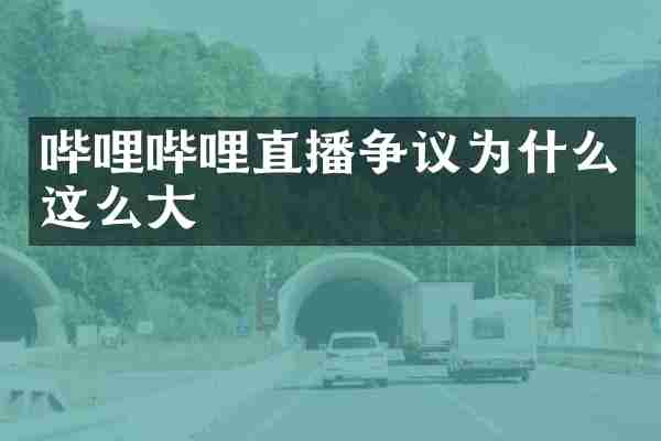 哔哩哔哩直播争议为什么这么大