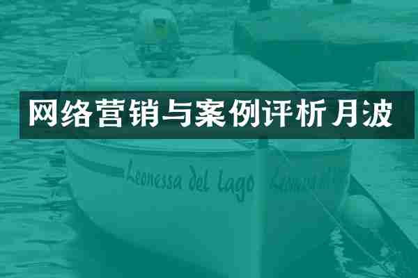 网络营销与案例评析月波