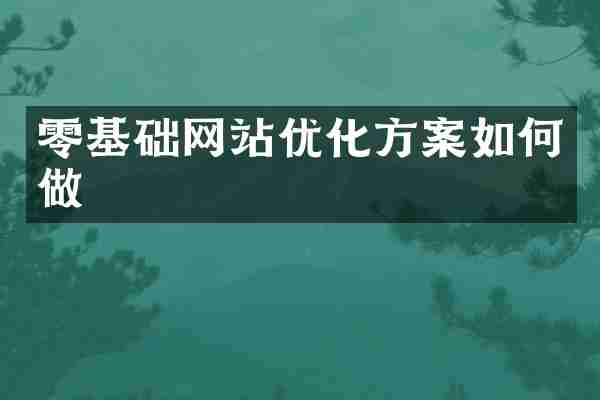 零基础网站优化方案如何做