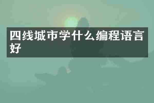 四线城市学什么编程语言好