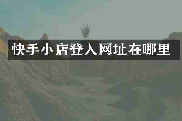 快手小店登入网址在哪里