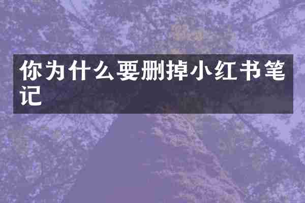 你为什么要删掉小红书笔记