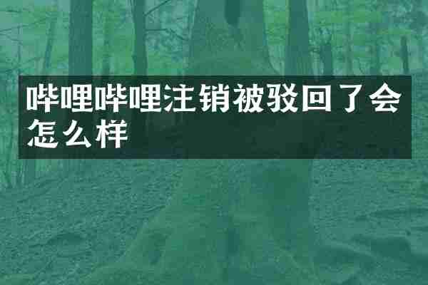 哔哩哔哩注销被驳回了会怎么样
