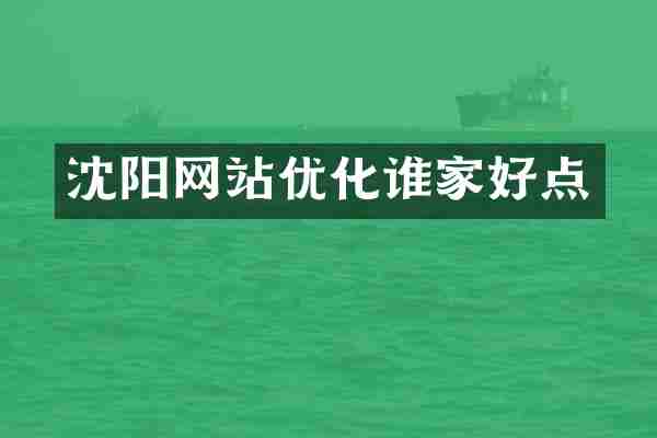 沈阳网站优化谁家好点