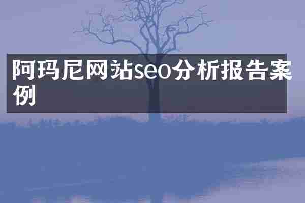 阿玛尼网站seo分析报告案例