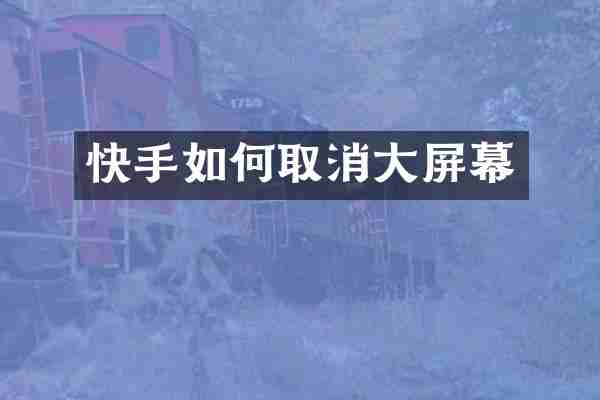 快手如何取消大屏幕