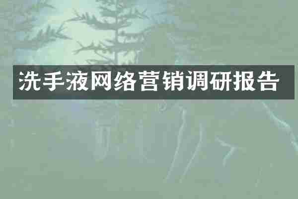洗手液网络营销调研报告