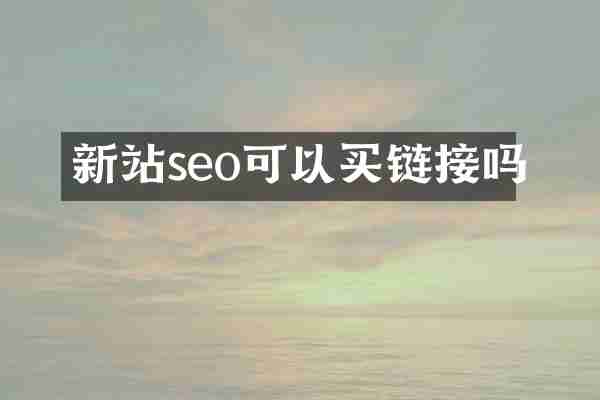 新站seo可以买链接吗