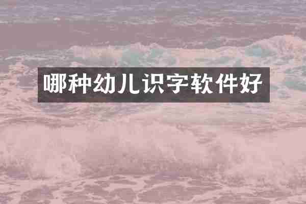 哪种幼儿识字软件好