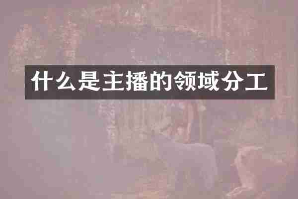 什么是主播的领域分工