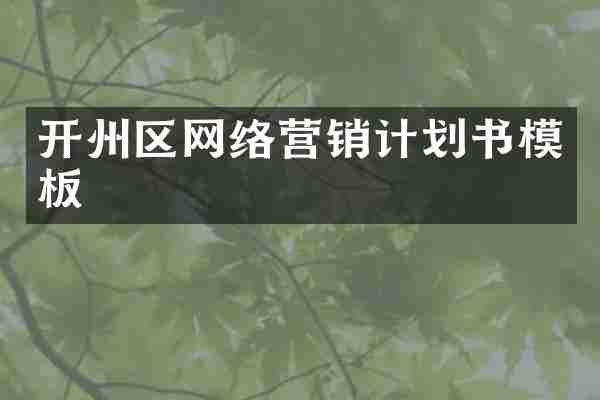 开州区网络营销计划书模板