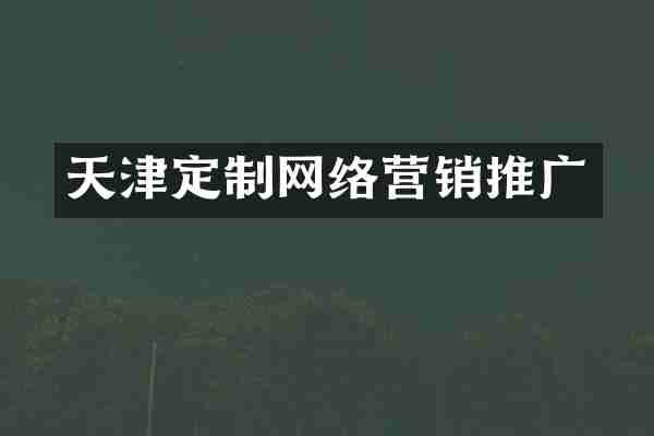 天津定制网络营销推广