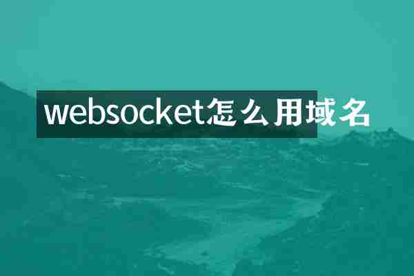 websocket怎么用域名