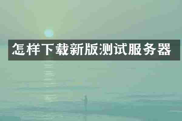 怎样下载新版测试服务器