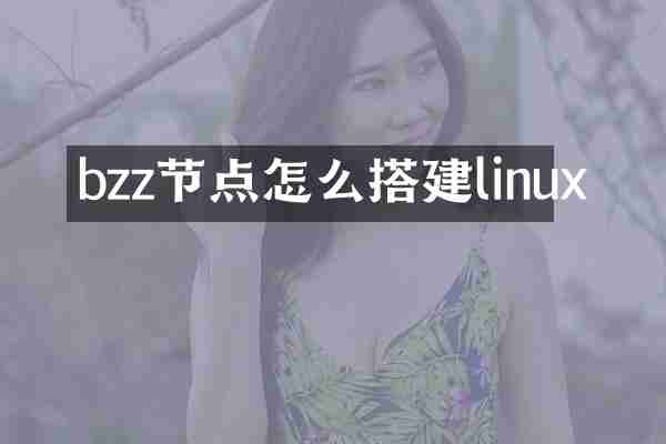 bzz节点怎么搭建linux