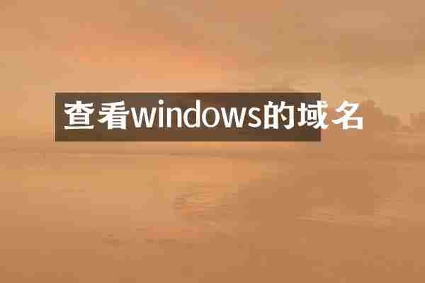 查看windows的域名
