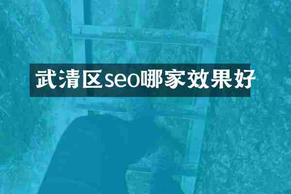 武清区seo哪家效果好