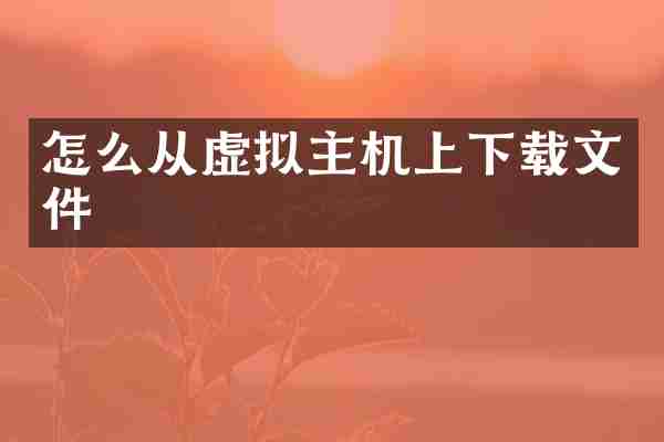 怎么从虚拟主机上下载文件