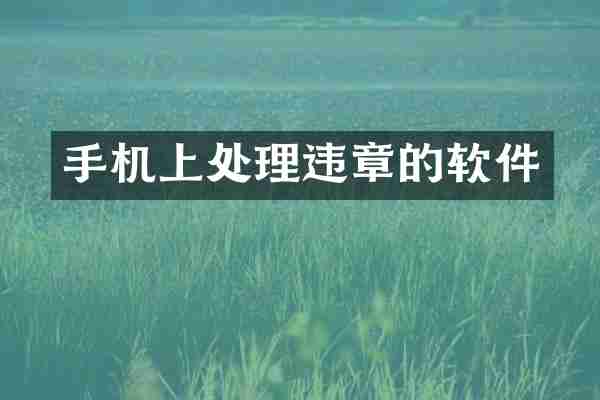 手机上处理违章的软件