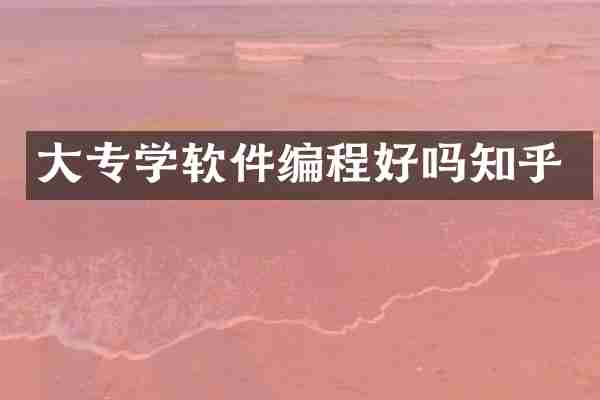 大专学软件编程好吗知乎