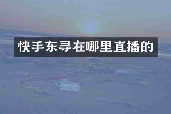 快手东寻在哪里直播的