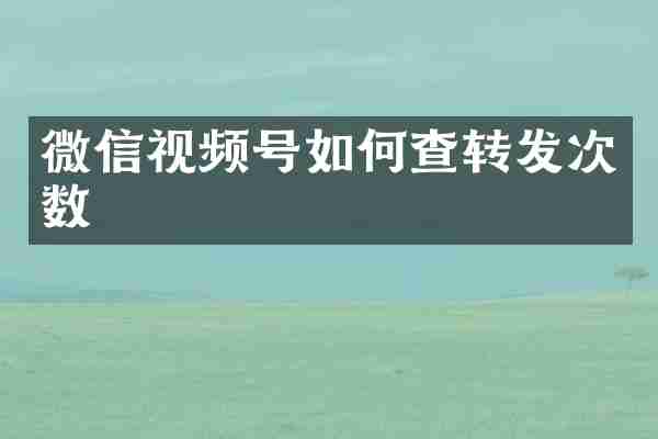 微信视频号如何查转发次数