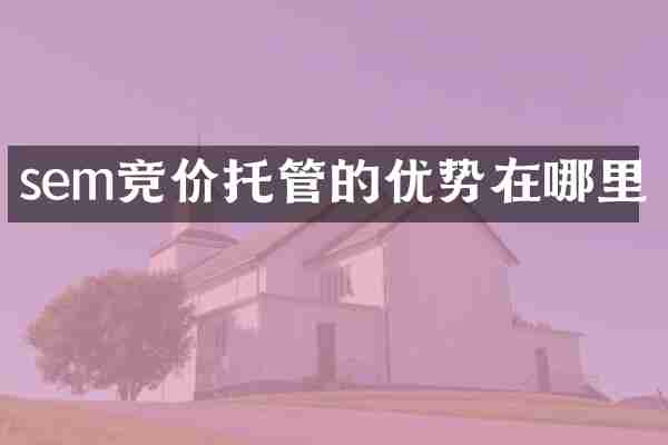 sem竞价托管的优势在哪里