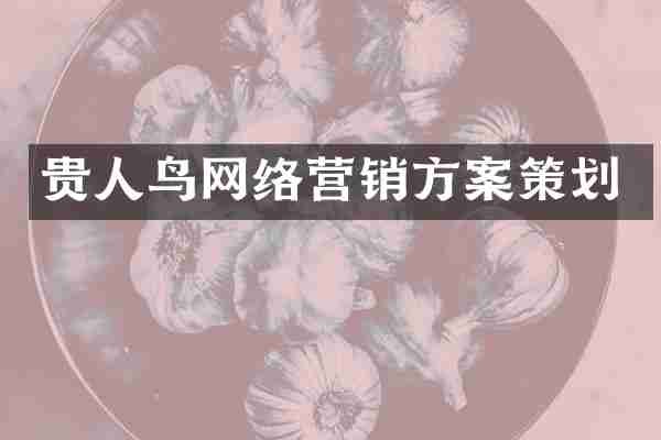 贵人鸟网络营销方案策划