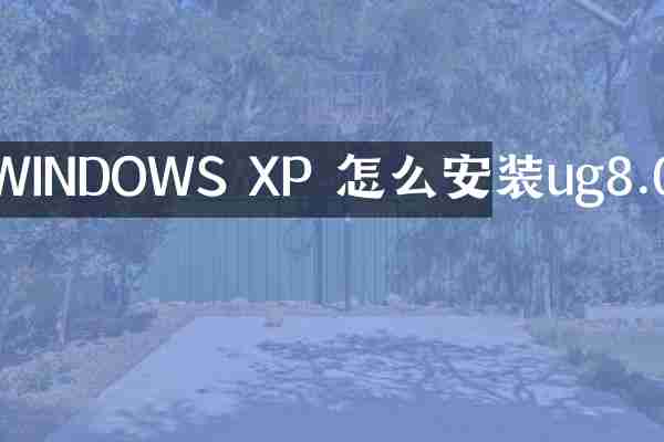 WINDOWS XP 怎么安装ug8.0