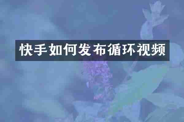 快手如何发布循环视频