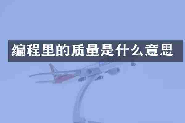 编程里的质量是什么意思