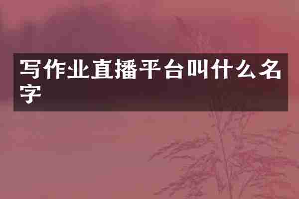 写作业直播平台叫什么名字