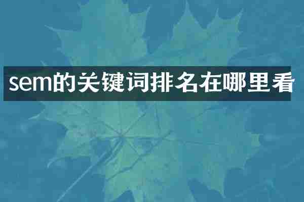 sem的关键词排名在哪里看