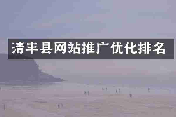 清丰县网站推广优化排名
