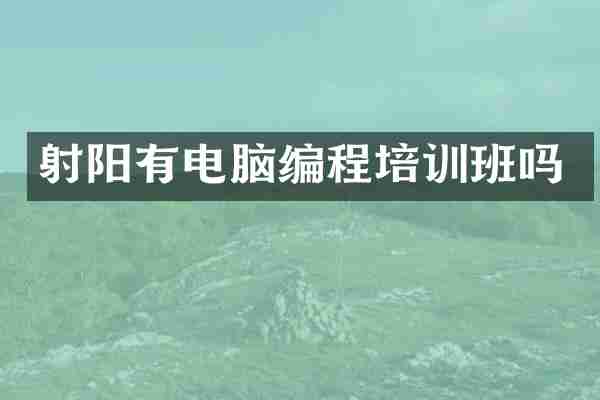 射阳有电脑编程培训班吗