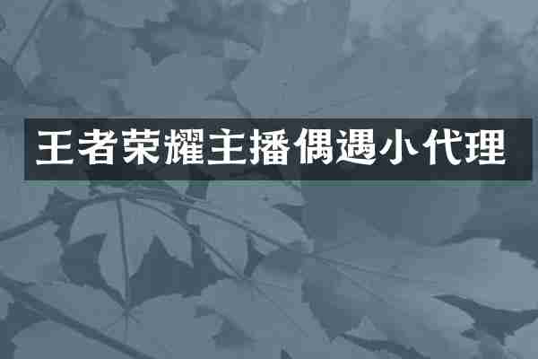 王者荣耀主播偶遇小代理