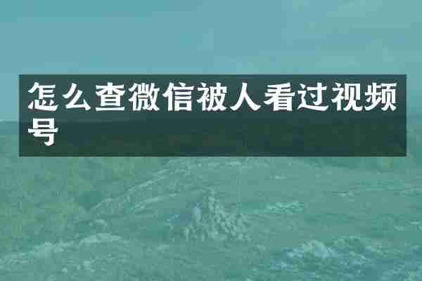 怎么查微信被人看过视频号