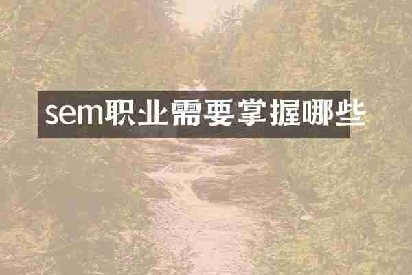 sem职业需要掌握哪些