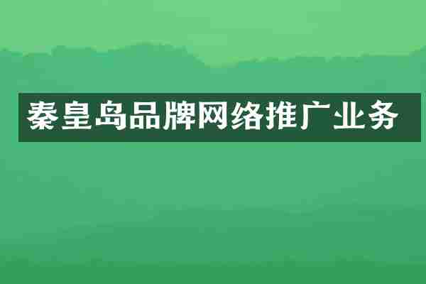秦皇岛品牌网络推广业务