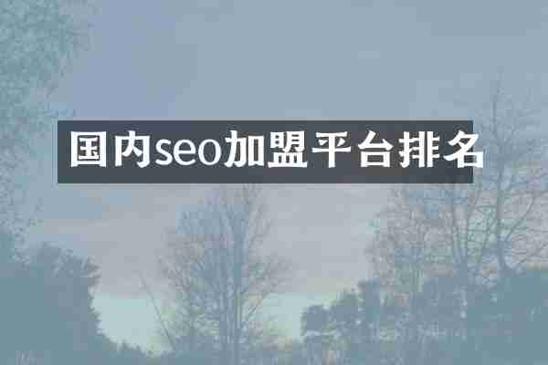 国内seo加盟平台排名