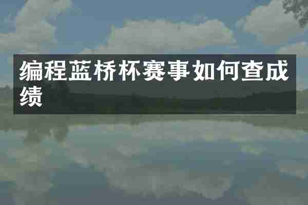 编程蓝桥杯赛事如何查成绩