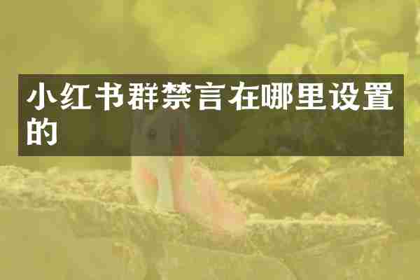 小红书群禁言在哪里设置的