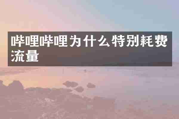 哔哩哔哩为什么特别耗费流量
