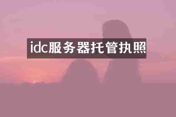idc服务器托管执照