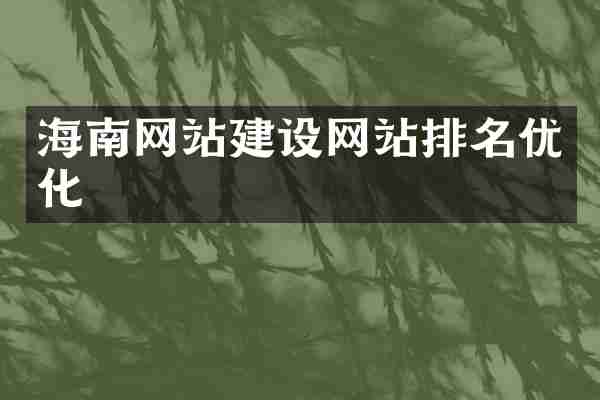 海南网站建设网站排名优化