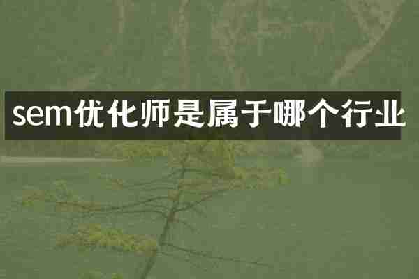 sem优化师是属于哪个行业