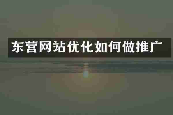 东营网站优化如何做推广
