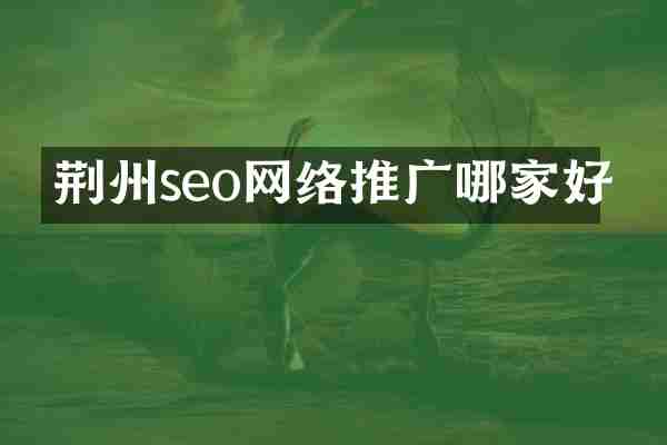 荆州seo网络推广哪家好