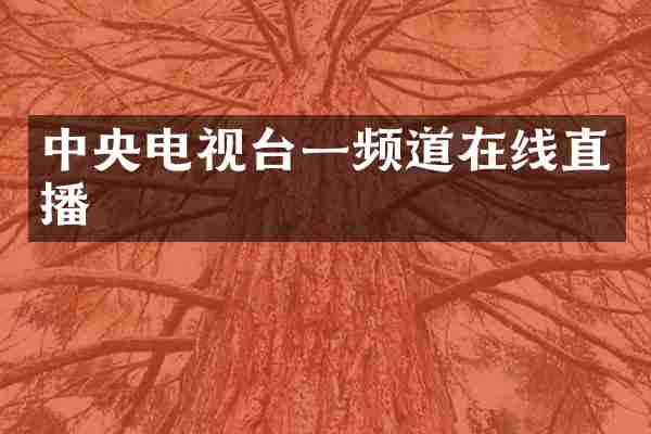 中央电视台一频道在线直播